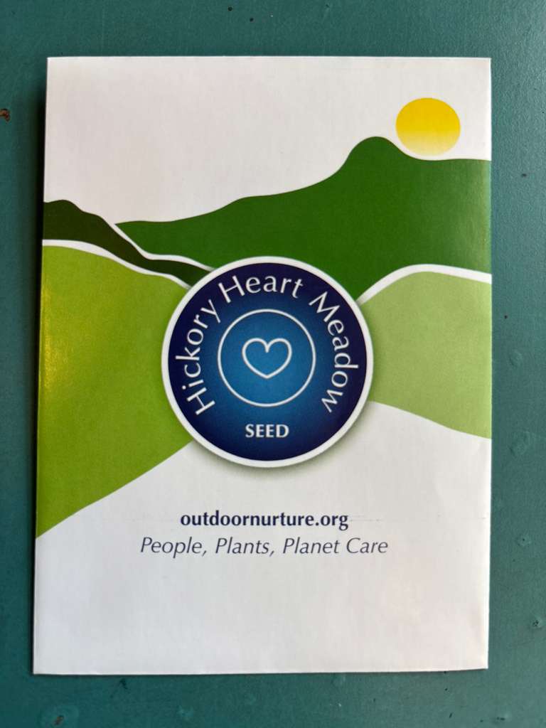 Aunt Molly’s Ground Cherry